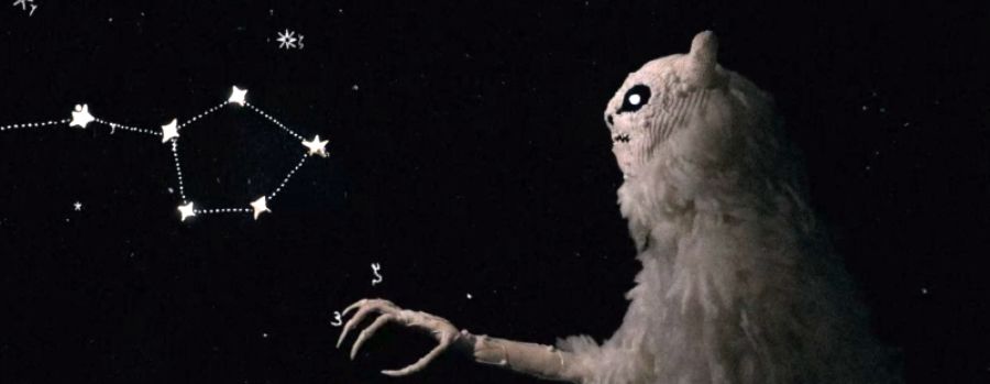 Mãe da Manhã, de Clara Trevisan