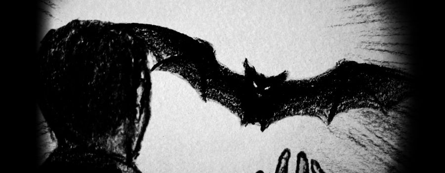 O Morcego, de Gealyson José Soares
